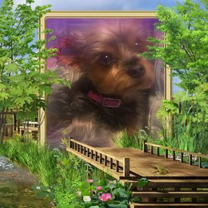 Meet your Posher, Kay